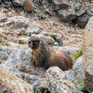 Meet your Posher, Deirdre